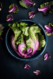 divi_photography_food-12