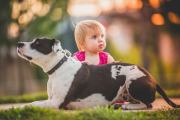 joehendricks_families-8