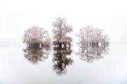 joehendricks_landscape-6