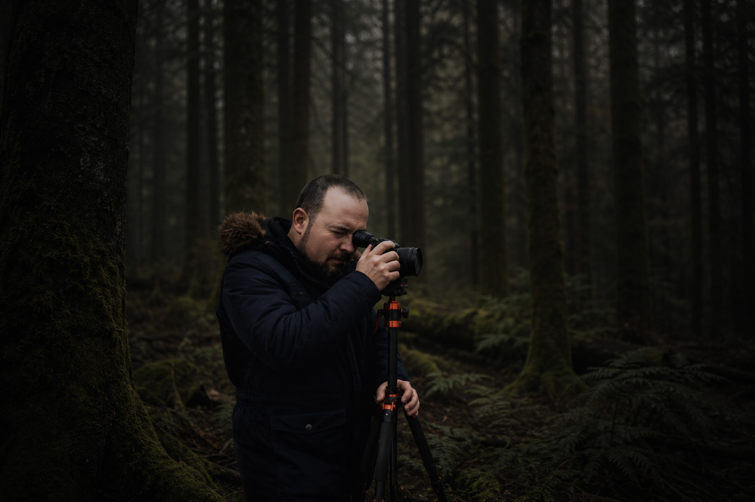 salvatore-proietto-wald